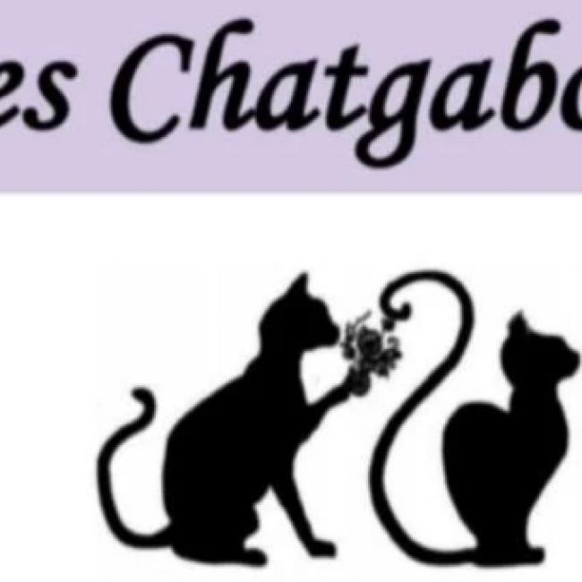 Photo de Les Chatgabonds