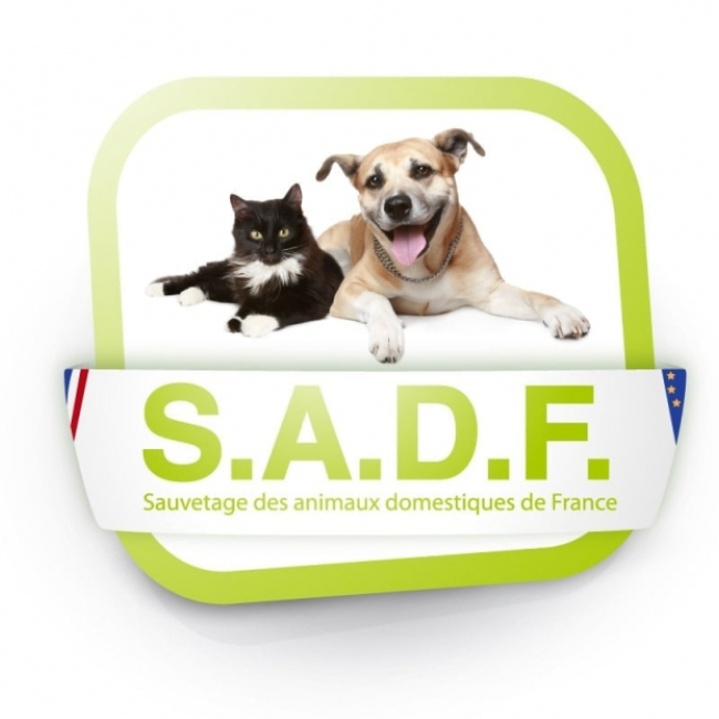 Photo de Sauvetage des animaux domestiques de France