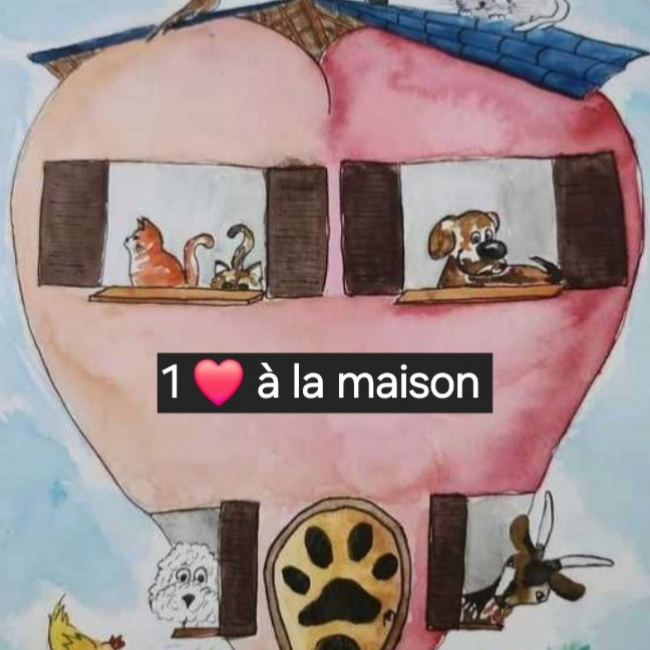 Photo de 1 cœur à la maison