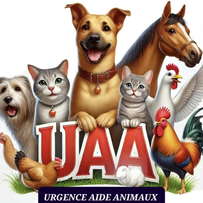 Photo de URGENCE AIDE ANIMAUX 