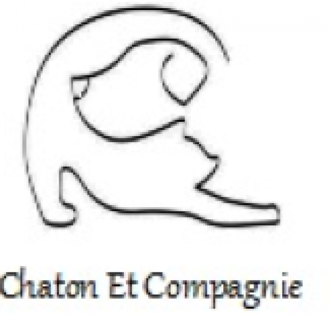 Photo de Chaton et compagnie 