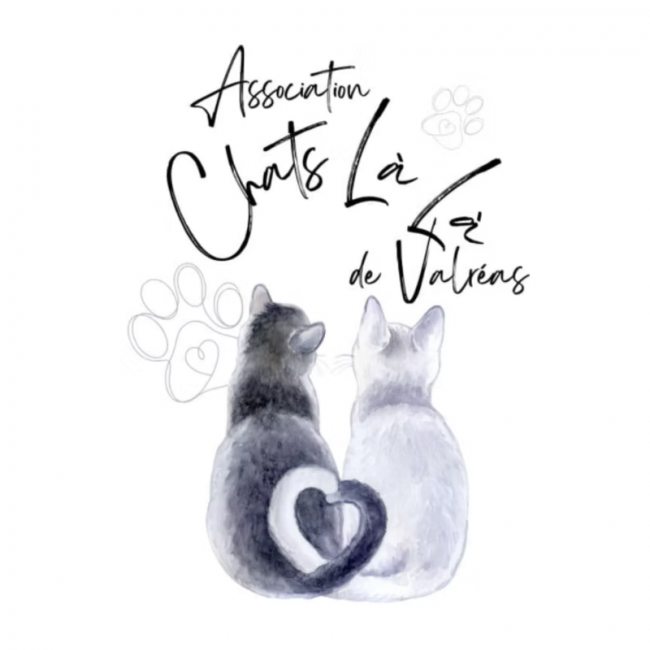 Photo de Association Chats Là Là de Valréas