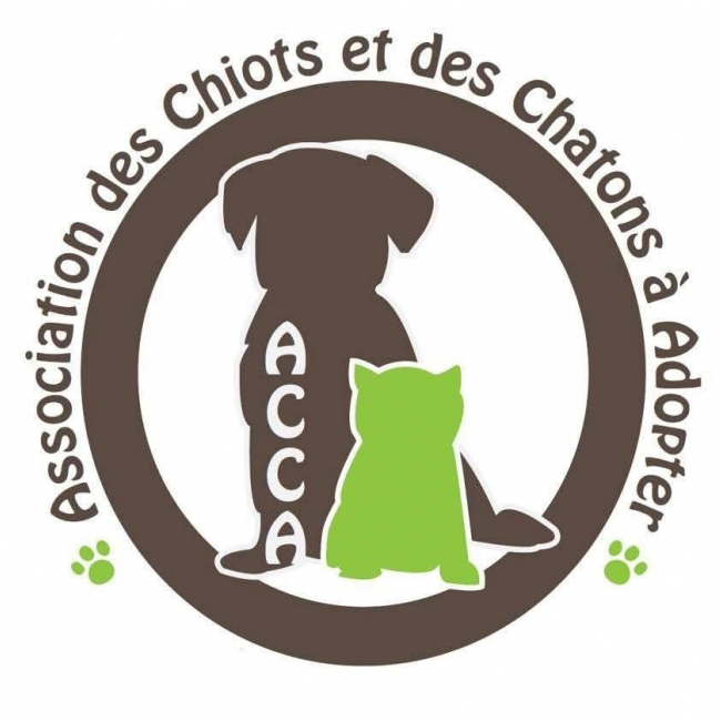 Photo de Association des Chiots et Chatons à Adopter (ACCA)
