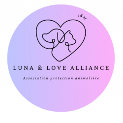 luna and love alliance 