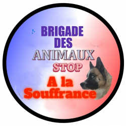 Brigade des Animaux stop a la souffrance 