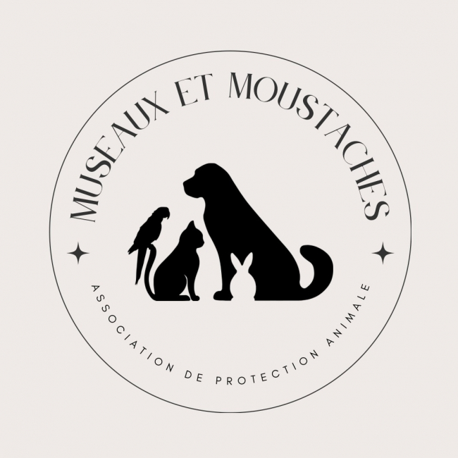 Photo de Museaux et Moustaches