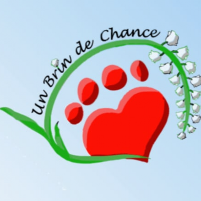 Photo de Un brin de chance 