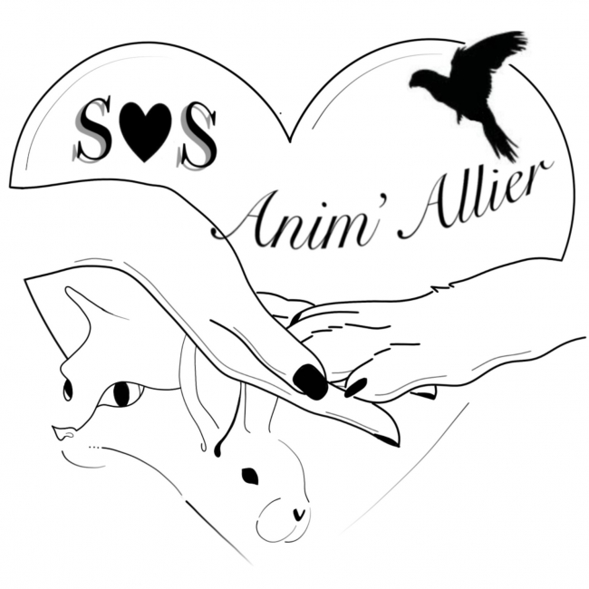 Photo de Association SOS Anim'Allier