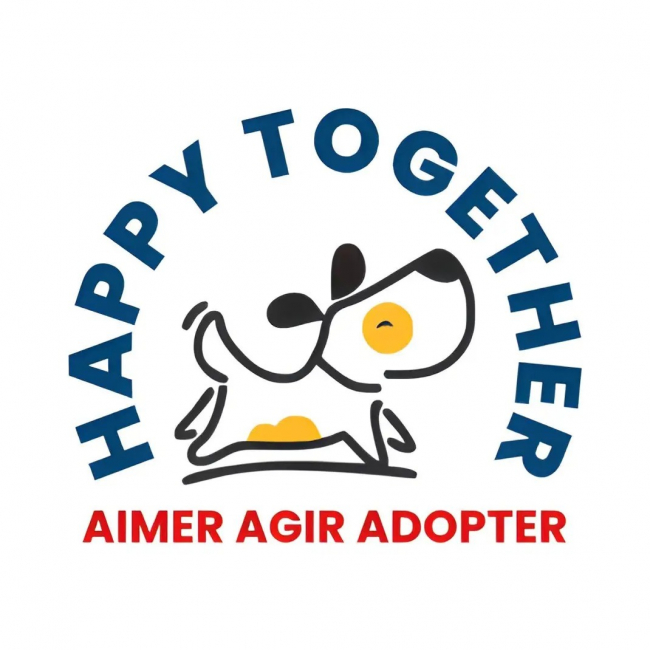 Photo de Happy Together Aimer Agir Adopter 