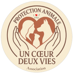 Logo UN COEUR DEUX VIES