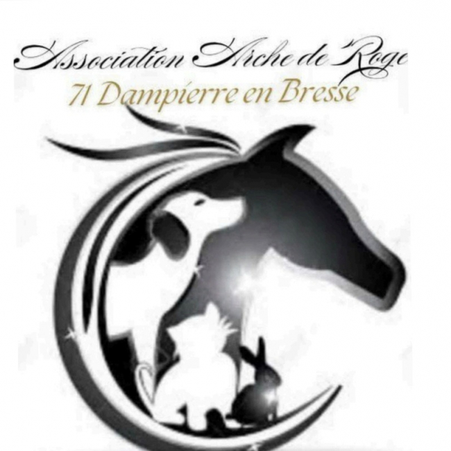 Photo de Arche de Roger