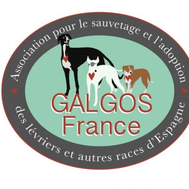 Photo de GALGOS France