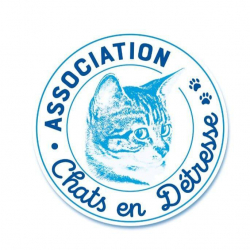 L'association Chats en Détresse