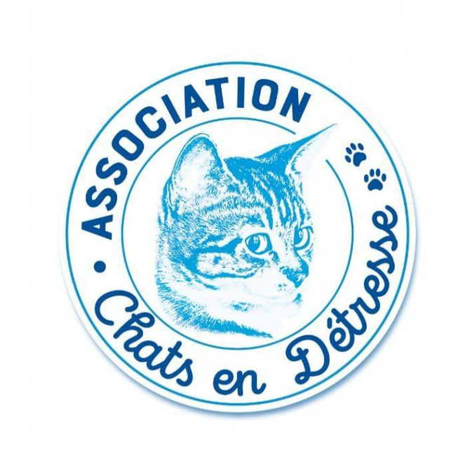 Photo de L'association Chats en Détresse