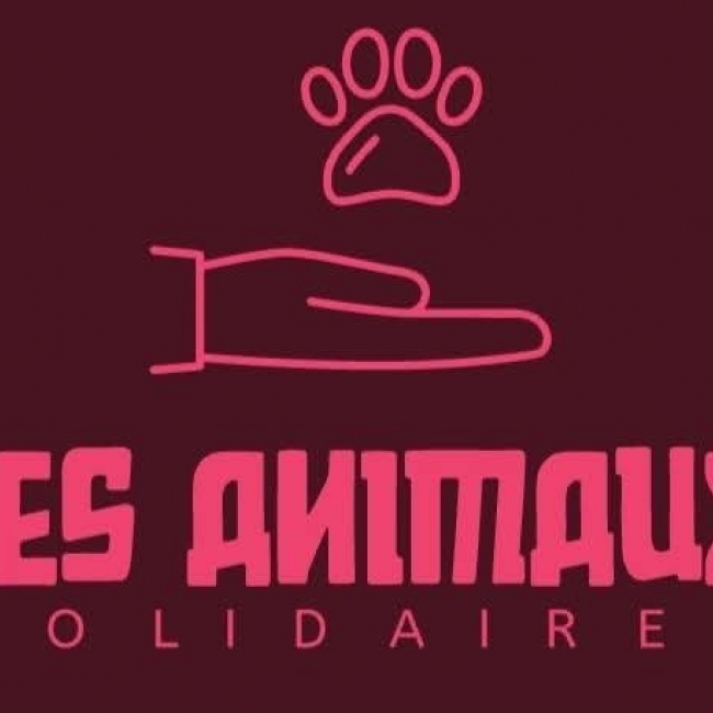 Photo de Les animaux solidaires