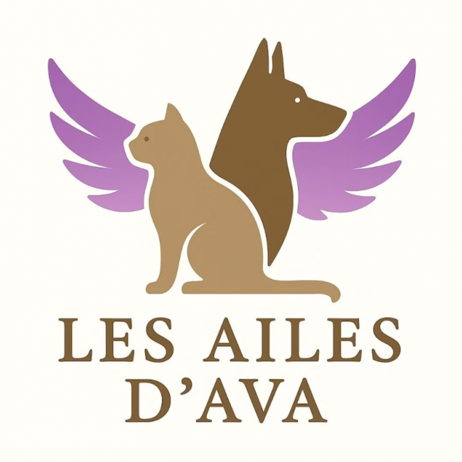 Photo de Les Ailes d'Ava