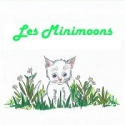Logo Les Minimoons Des Grandes Bruyères
