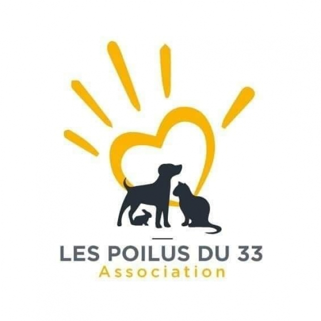 Photo de Les Poilus du 33