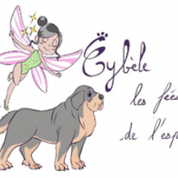 Logo Association CYBELE LES FEES DE L'ESPOIR