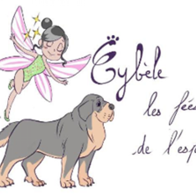 Photo de Association CYBELE LES FEES DE L'ESPOIR