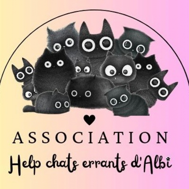 Photo de Help Chats Errants d Albi