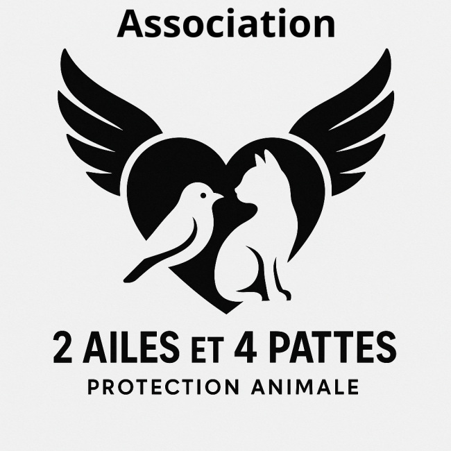 Photo de Association 2aileset4pattes