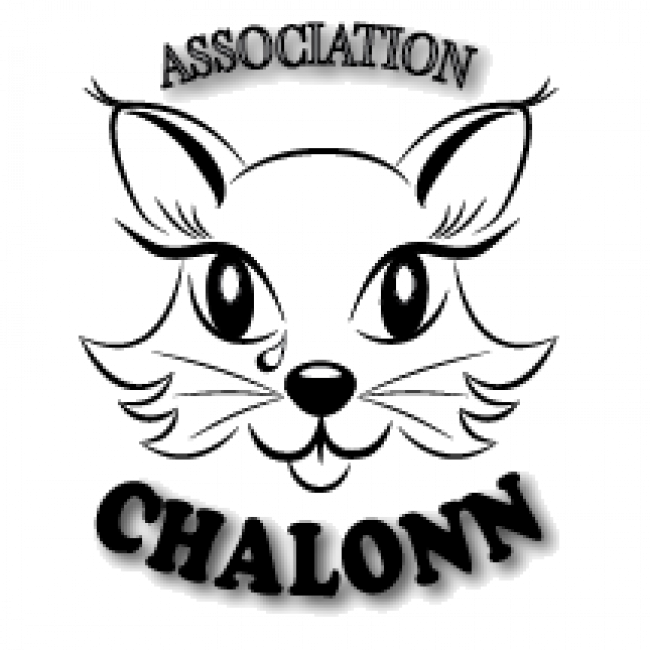 Photo de Association Chalonn