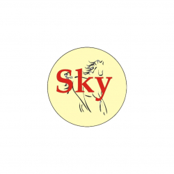 Logo Fondation Sky