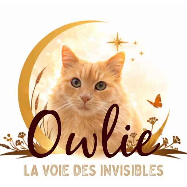 Photo de Owlie, la voie des invisibles