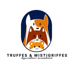 Logo Truffes et Mistigriffes