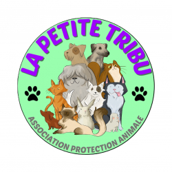 Logo Association La Petite Tribu