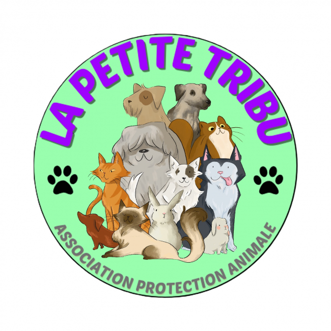 Photo de Association La Petite Tribu