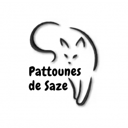 Logo pattounes de saze