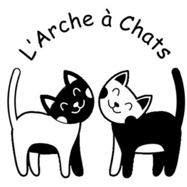 Photo de L'arche à chats