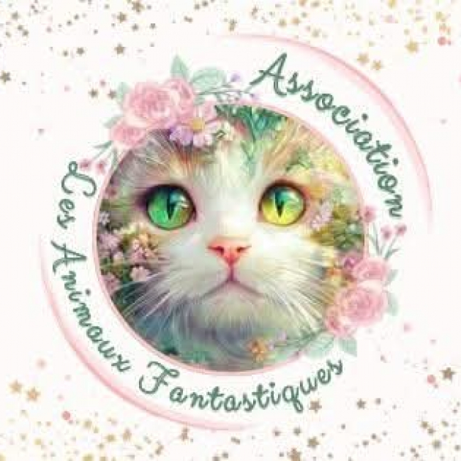 Photo de LES ANIMAUX FANTASTIQUES