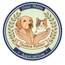 Logo Association 2 mains 4 pattes
