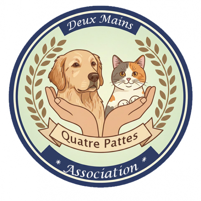 Photo de Association 2 mains 4 pattes
