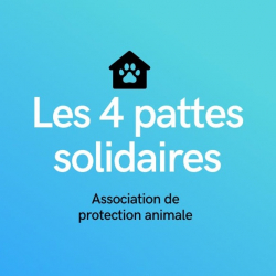 Logo LES 4 PATTES SOLIDAIRES
