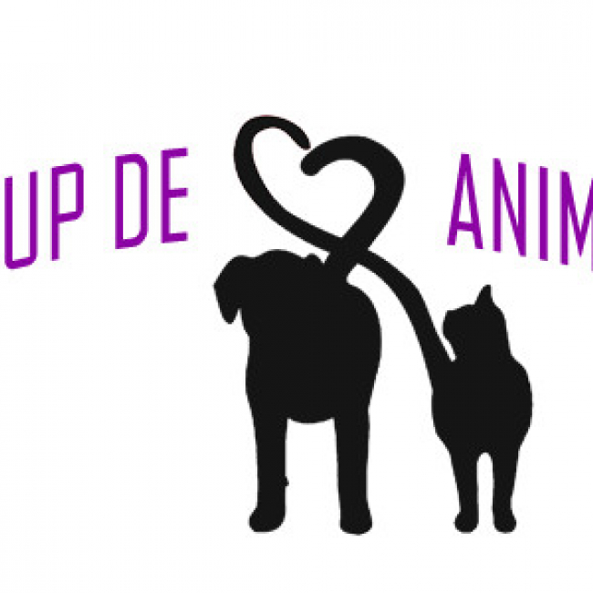 Photo de Coup de Cœur Animal