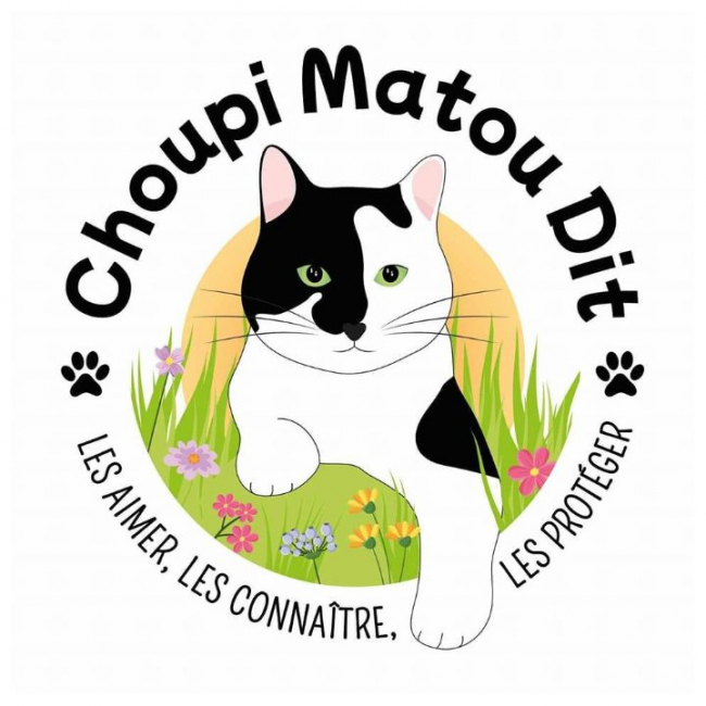 Photo de choupi matou dit