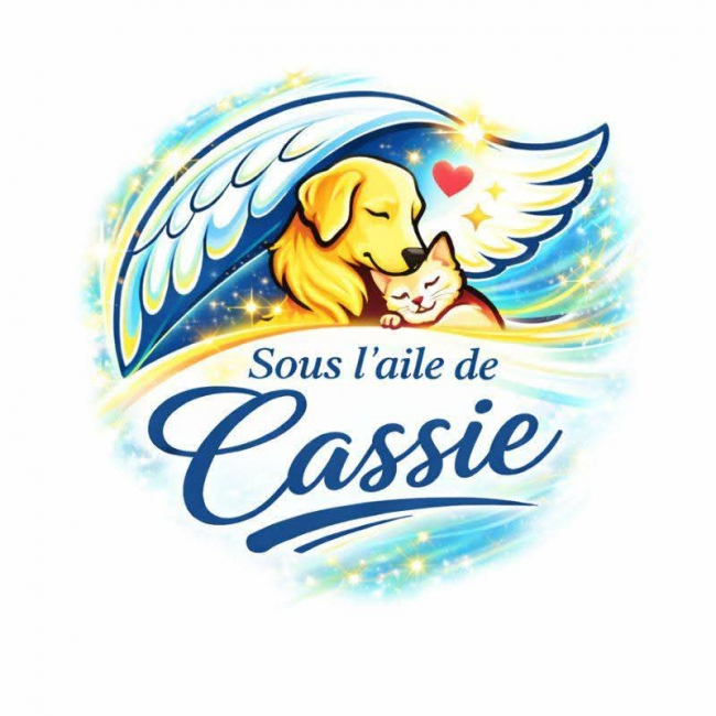 Photo de Sous l'aile de Cassie