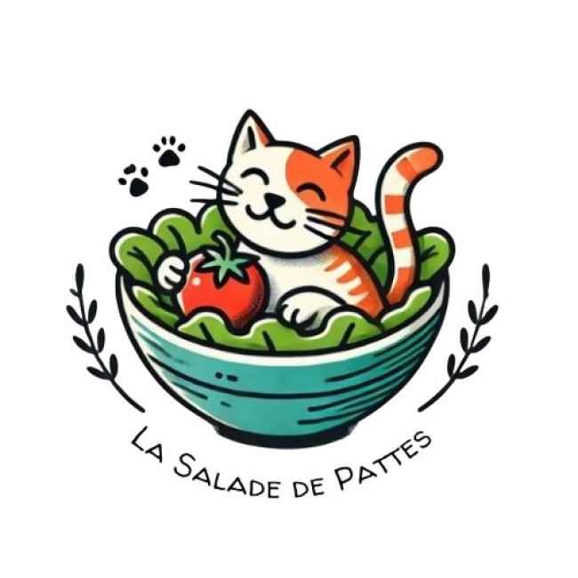 Photo de La Salade de Pattes