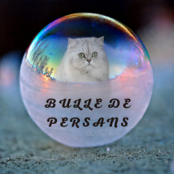 Logo Bulle de persans