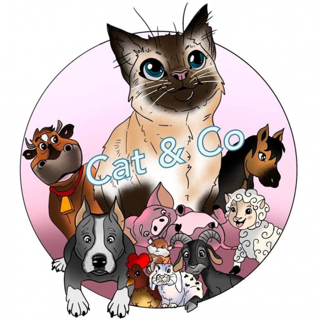 Photo de Association Cat&Co