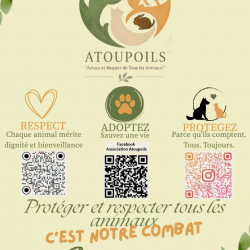 Logo Atoupoils