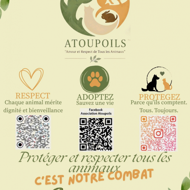 Photo de Atoupoils