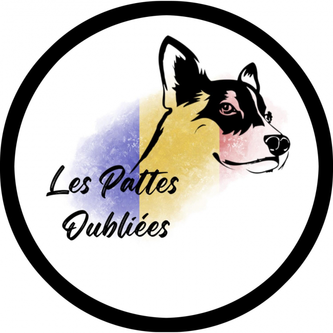 Photo de les pattes oubliées