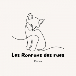 Logo Les Ronrons des rues