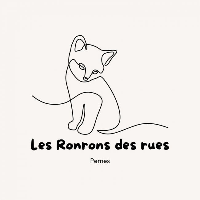 Photo de Les Ronrons des rues