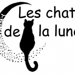 Logo Association les chats de la lune